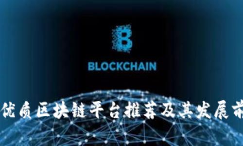 广州最优质区块链平台推荐及其发展前景分析