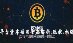 区块链平台资本项目全面解析：现状、机遇与挑